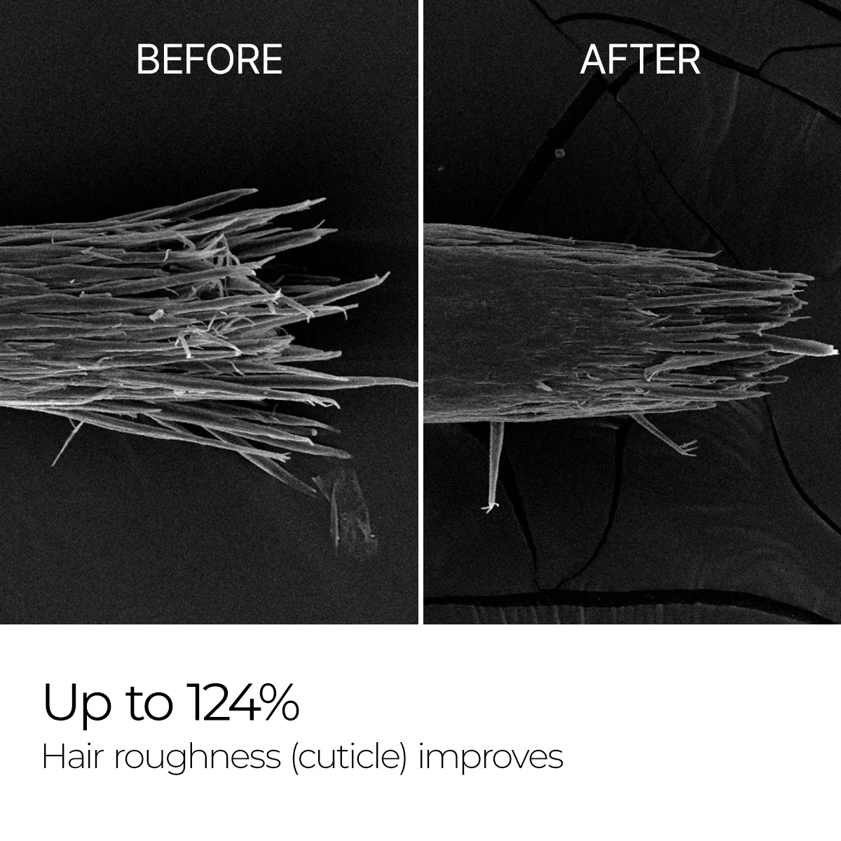 Bondex Protein Bonding Remodeling Clinic Line - Image 5